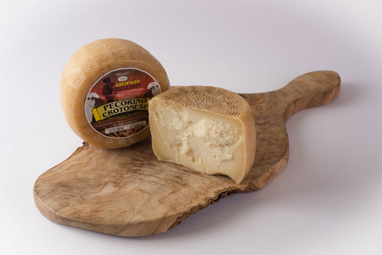 pecorino-crotonese-stagionato-002